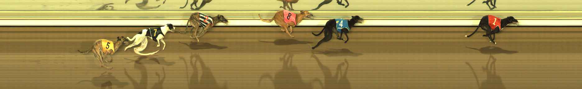 Race result finish photo